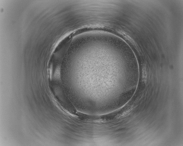 X0000059080584200510172032