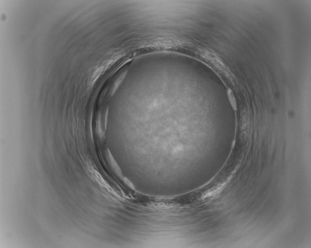 X0000059080585200510172032