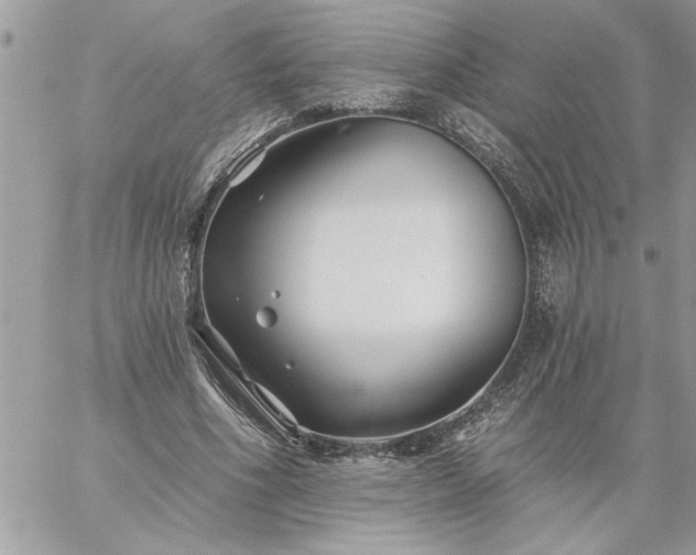 X0000059080586200510172032