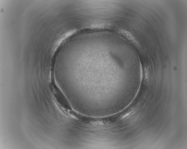 X0000059080588200510172032