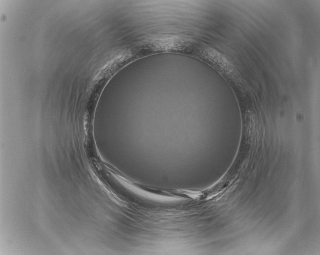 X0000059080590200510172032