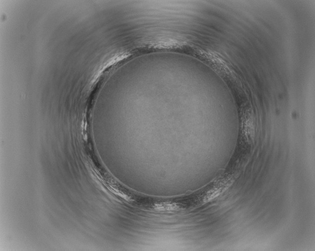 X0000059080591200510172032