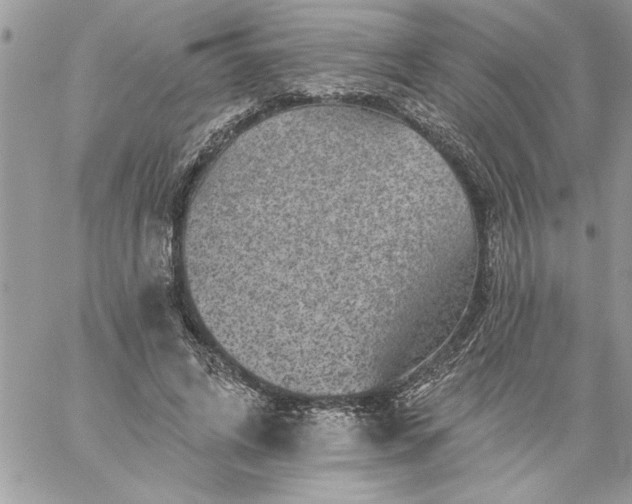 X0000059080592200510172032