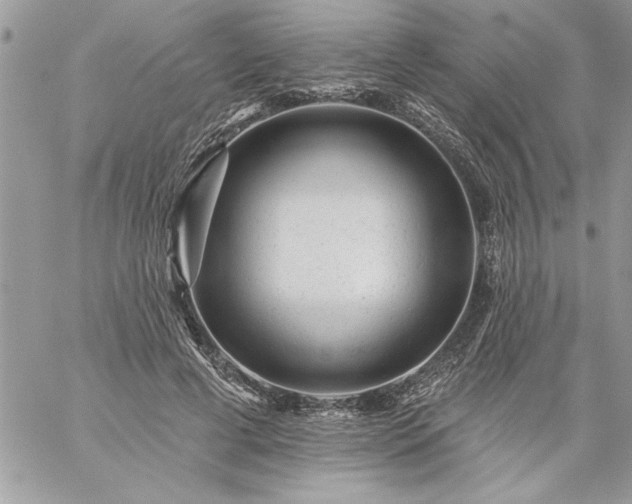 X0000059080593200510172032