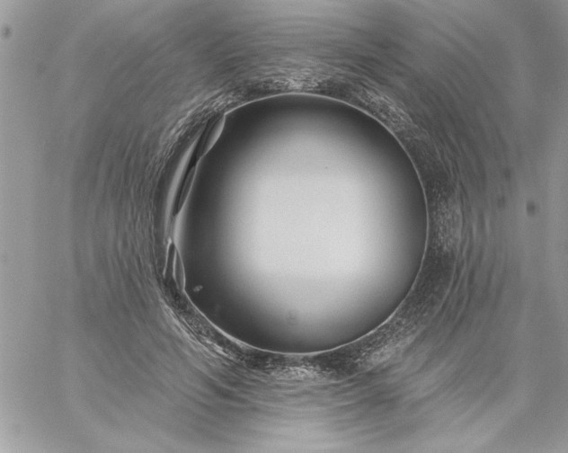 X0000059080594200510172032