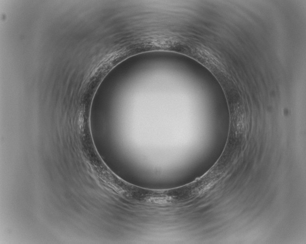 X0000059080595200510172031