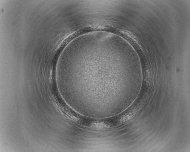 X0000059080596200510172031