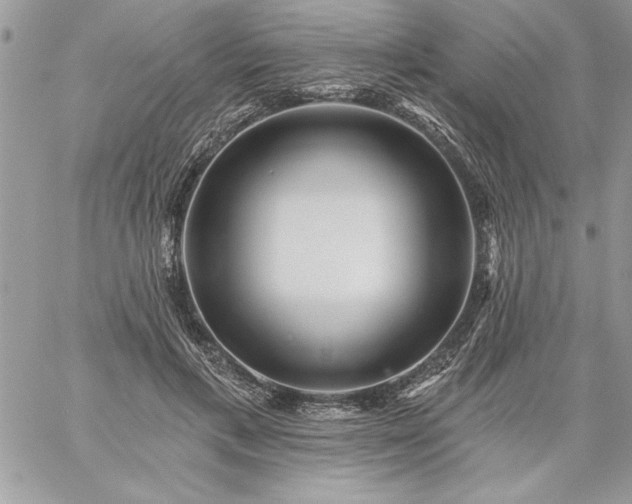 X0000059080597200510172031