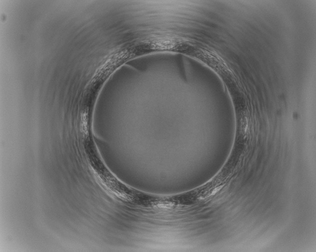 X0000059080598200510172031