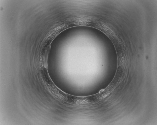 X0000059080599200510172031