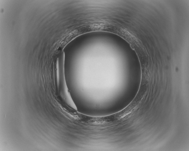 X0000059080601200510172031