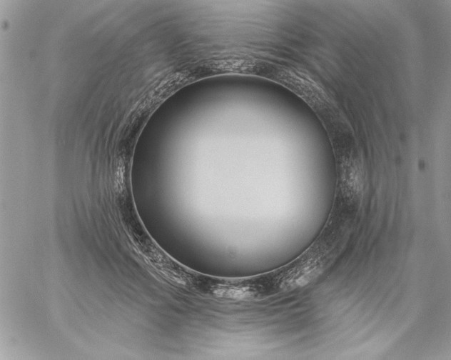 X0000059080602200510172031