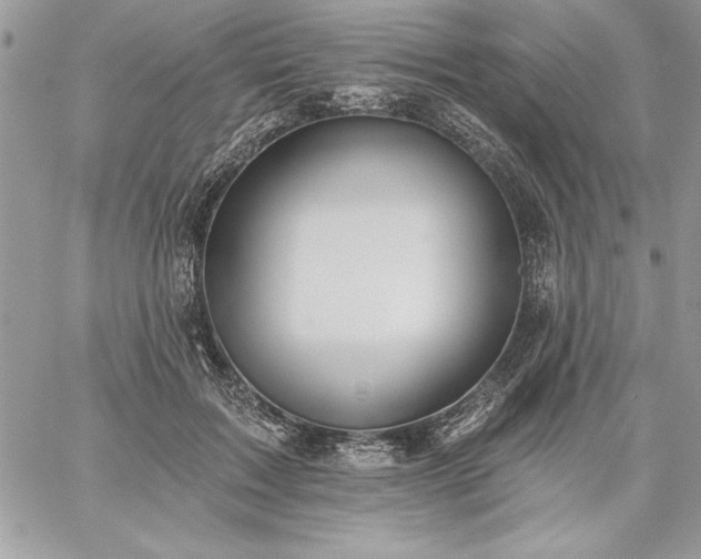 X0000059080603200510172031