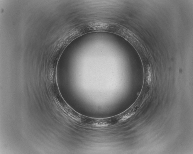 X0000059080604200510172031