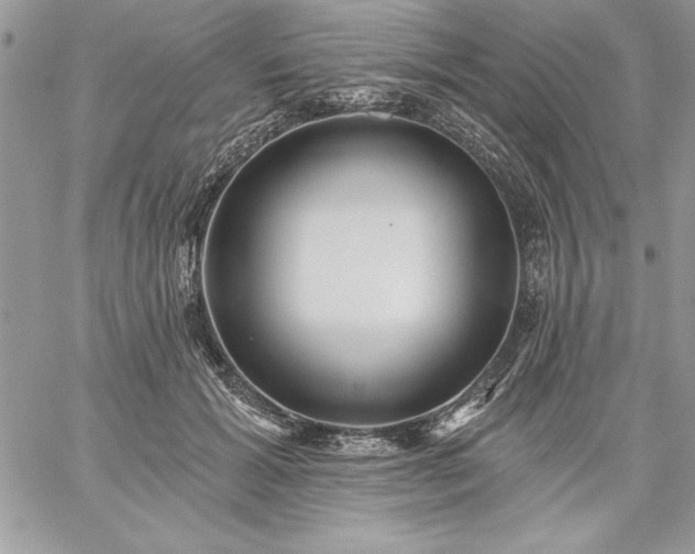 X0000059080605200510172031