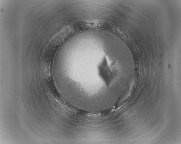 X0000059080606200510172031