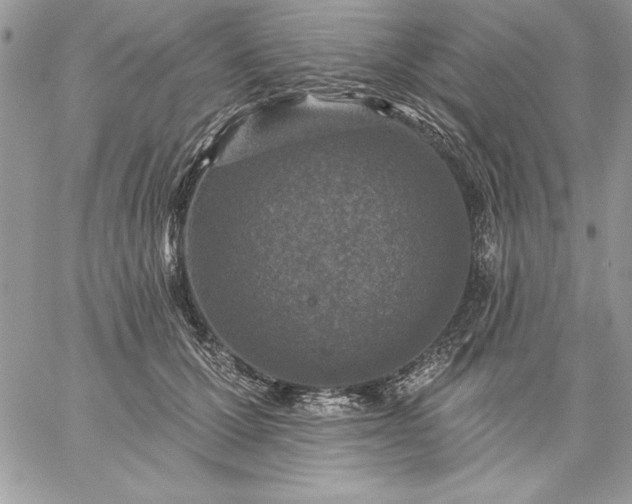 X0000059080607200510172031