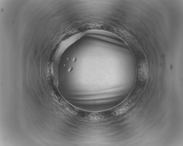 X0000059080608200510172031