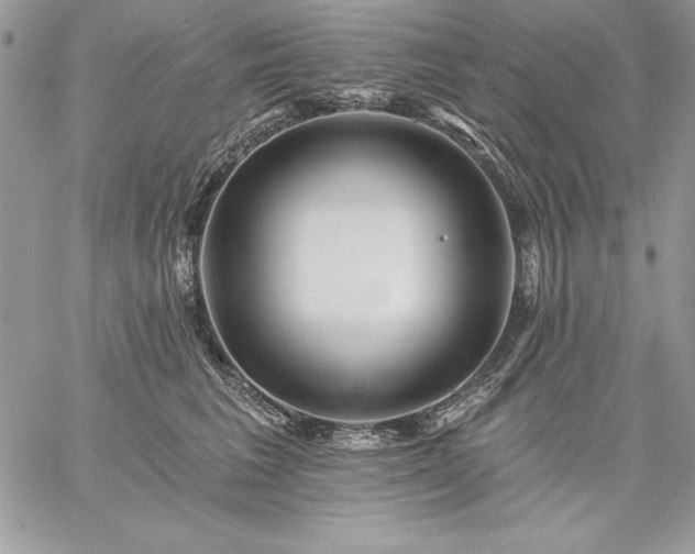 X0000059080613200510172031