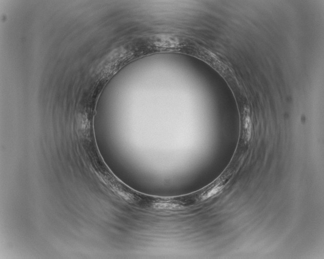 X0000059080614200510172031