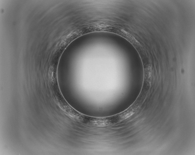 X0000059080615200510172031