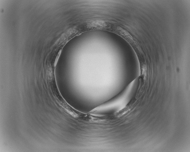 X0000059080617200510172031