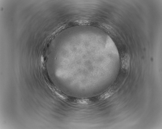 X0000059080618200510172031