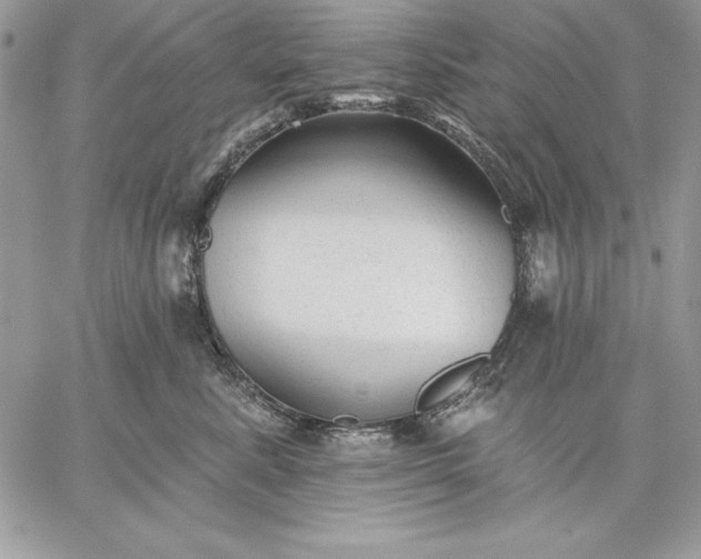 X0000059080619200510172031