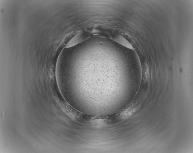 X0000059080620200510172031