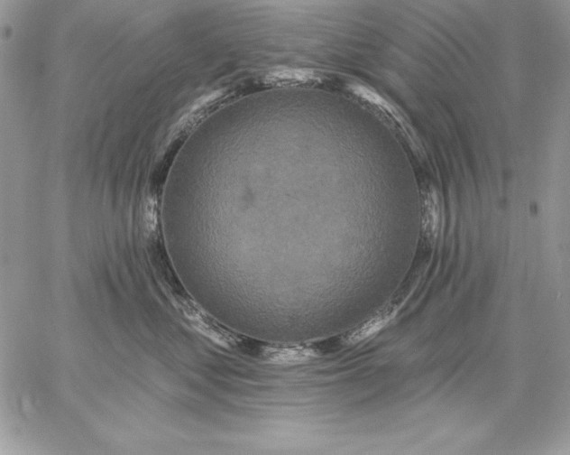 X0000059080621200510172031