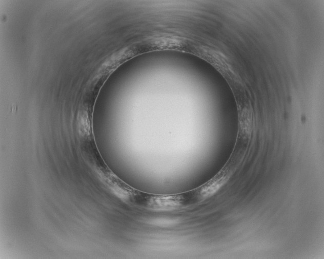 X0000059080622200510172031