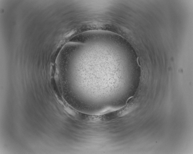 X0000059080624200510172031