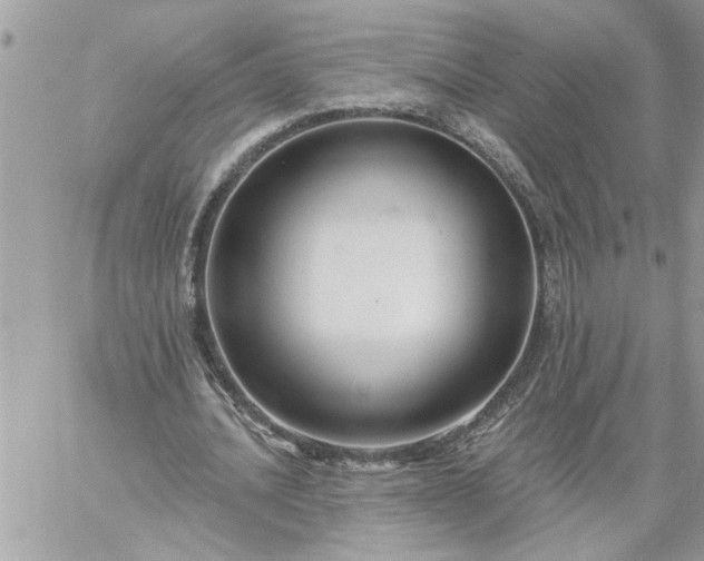 X0000059080628200510172030