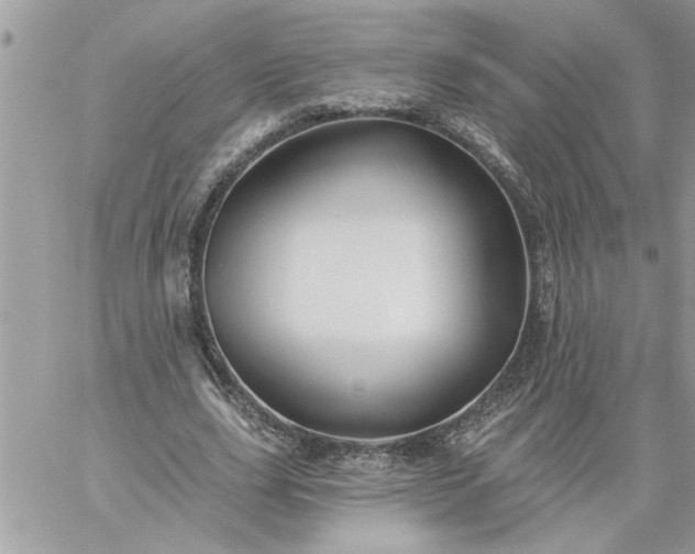 X0000059080631200510172030