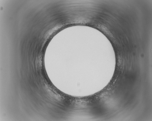 X0000059080632200510172030