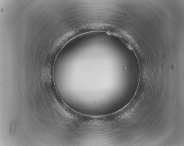 X0000059080633200510172030