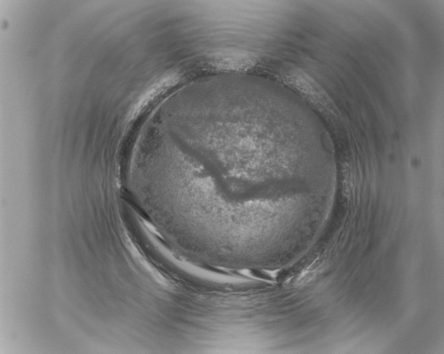 X0000059080634200510172030