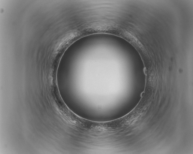 X0000059080635200510172030