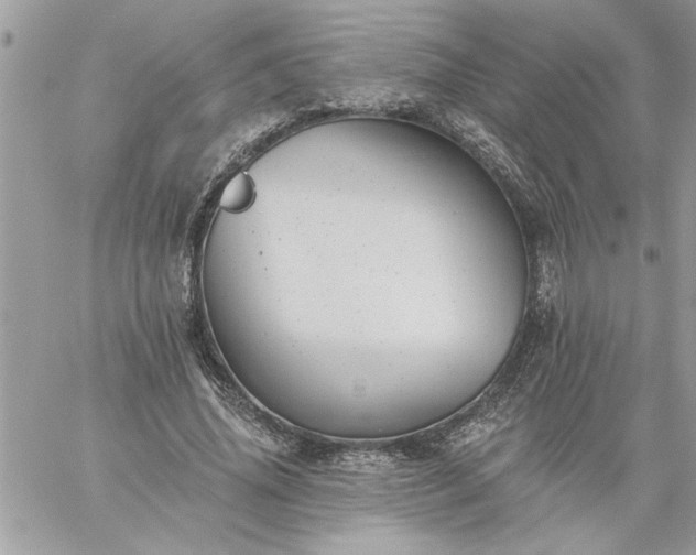 X0000059080636200510172030