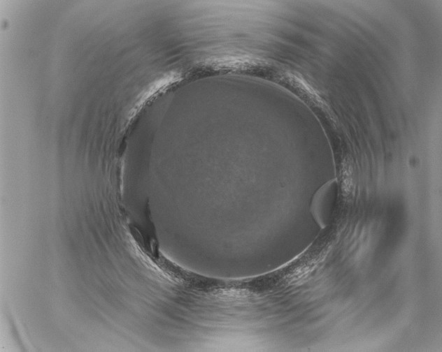 X0000059080637200510172030