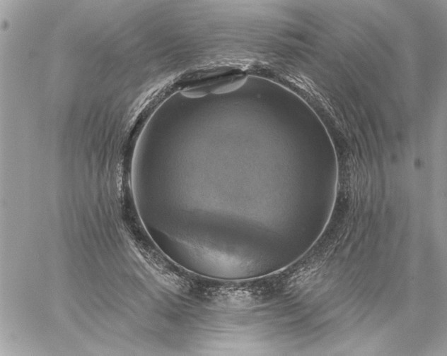 X0000059080640200510172030