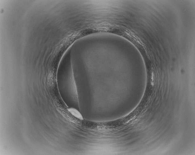 X0000059080641200510172030