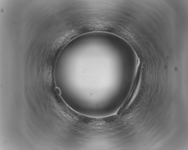 X0000059080642200510172031