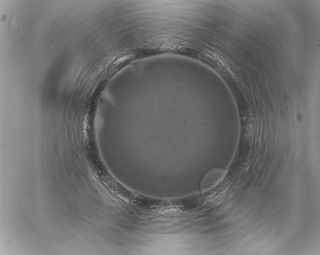 X0000059080643200510172031