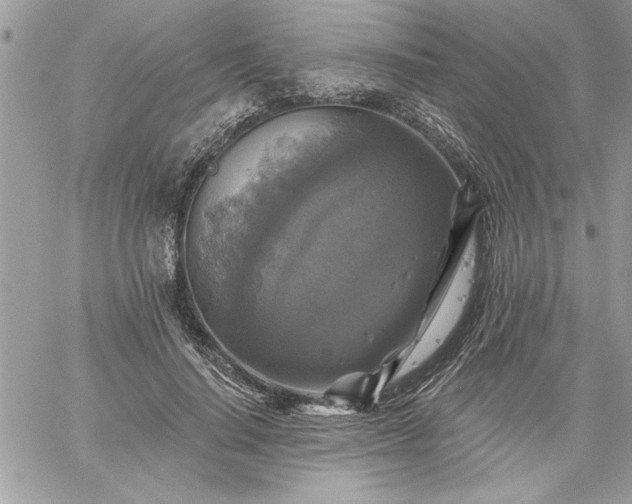 X0000059080644200510172031