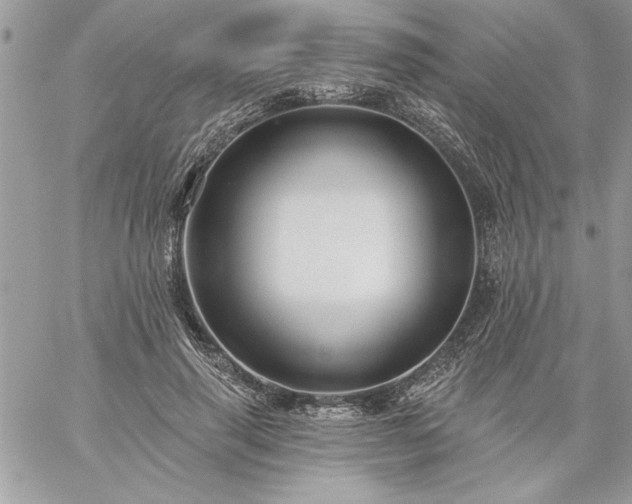 X0000059080645200510172031