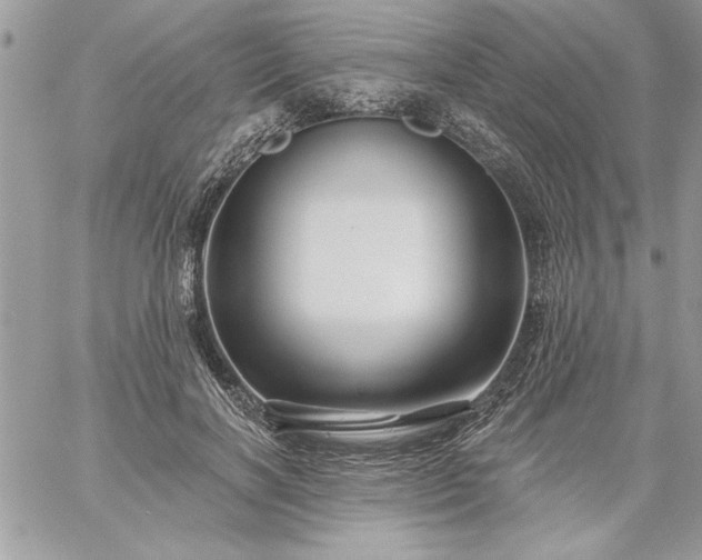 X0000059080646200510172031