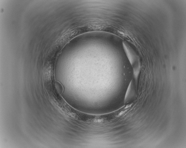 X0000059080647200510172031