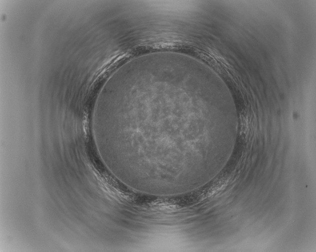 X0000059080648200510172031