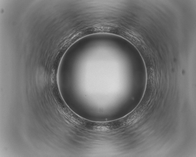 X0000059080649200510172031